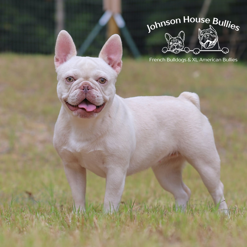 Read more about the article Johnson House Well Butter My Biscuit