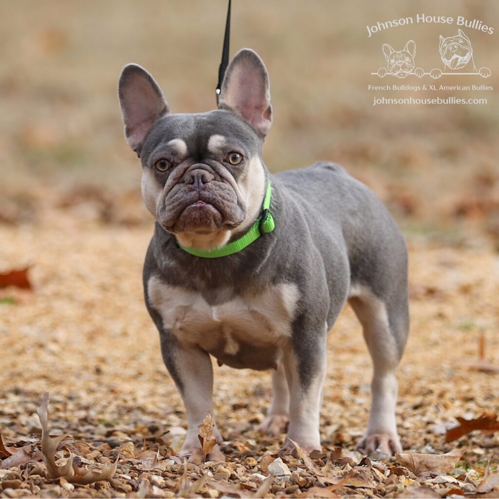 Read more about the article Johnson House Sweet Pickles (Retired)